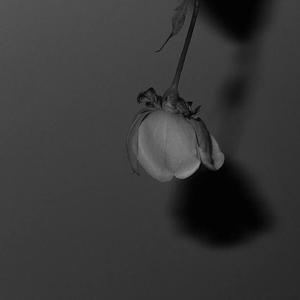 美国老奶奶logo大全最新款
